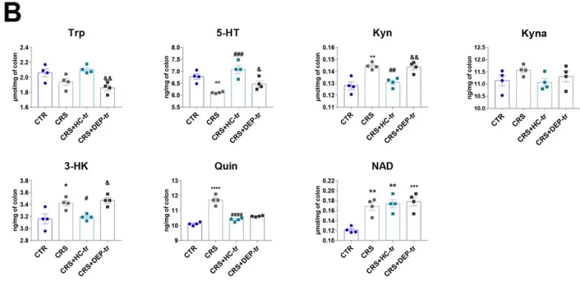 B. Levels of Trp-Kyn metabolic pathway-derived neurotransmitters in the mice colons. B. Levels of Trp-Kyn metabolic pathway-derived neurotransmitters in the mice colons.